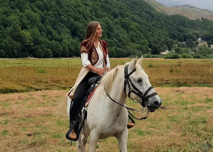 木屋 Katun Mokra & Horseback Riding *