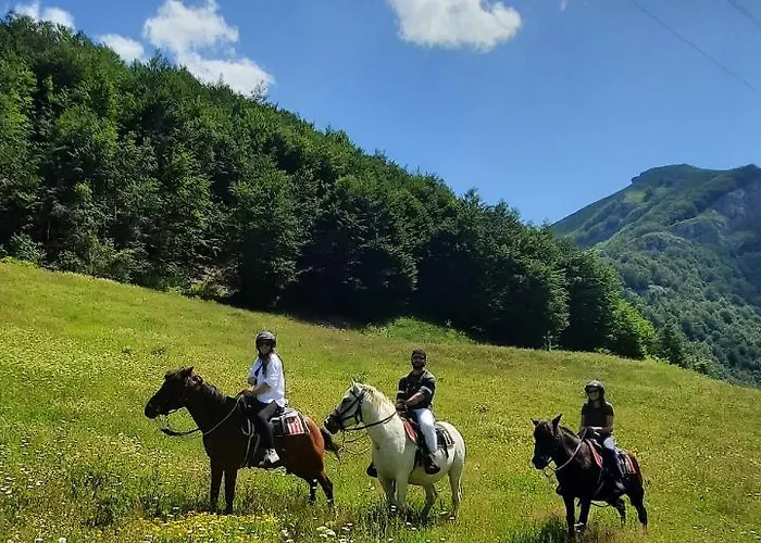 Katun Mokra & Horseback Riding