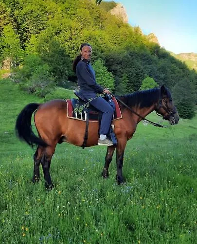 Katun Mokra & Horseback Riding * 波德戈里察