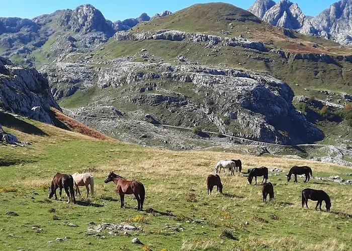 Katun Mokra & Horseback Riding 木屋 *