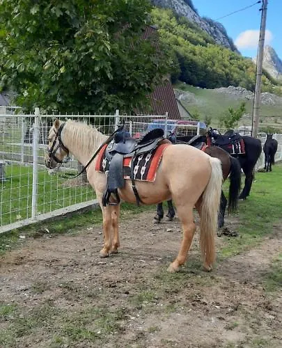 Katun Mokra & Horseback Riding 木屋 *