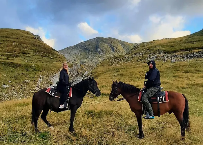 Katun Mokra & Horseback Riding 木屋
