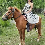 Шале Katun Mokra & Horseback Riding *