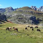 Katun Mokra & Horseback Riding Шале *