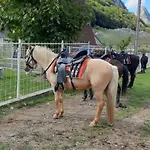 Katun Mokra & Horseback Riding Шале *