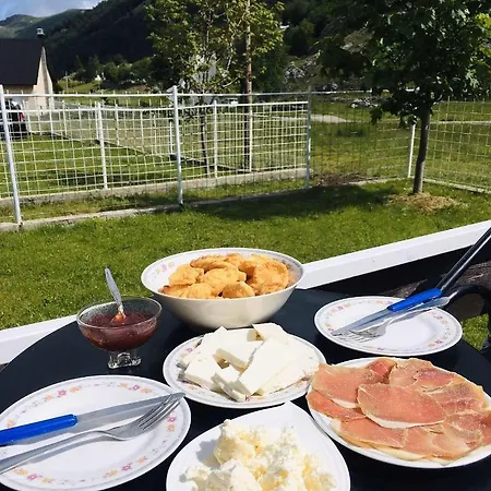 Katun Mokra & Horseback Riding 木屋 *