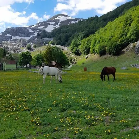 Katun Mokra & Horseback Riding בקתה