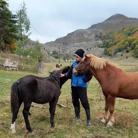 Katun Mokra & Horseback Riding *