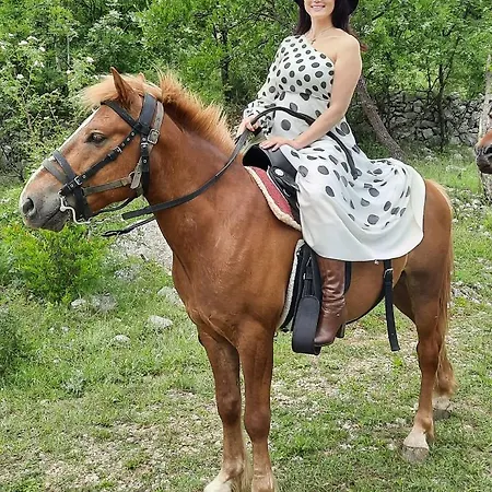 בקתה Katun Mokra & Horseback Riding *