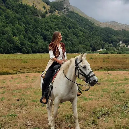 Chalé Katun Mokra & Horseback Riding *
