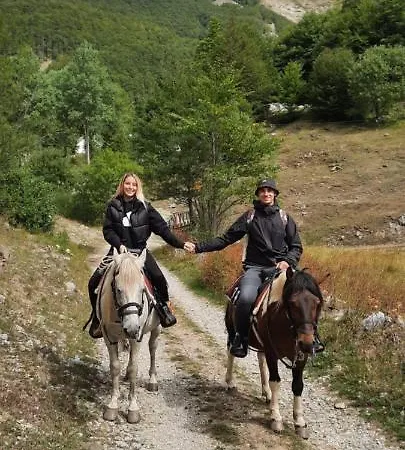 Katun Mokra & Horseback Riding 木屋 *
