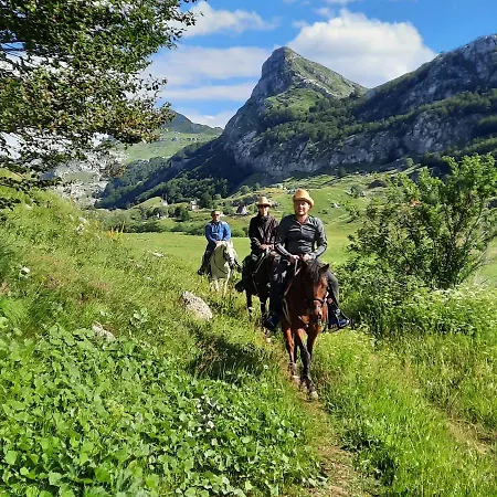 Chalet Katun Mokra & Horseback Riding