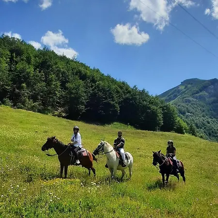 Katun Mokra & Horseback Riding
