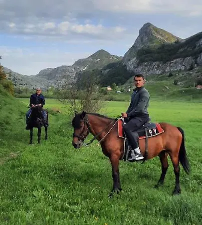 Katun Mokra & Horseback Riding פודגוריצה