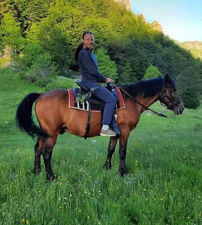Katun Mokra & Horseback Riding * 波德戈里察