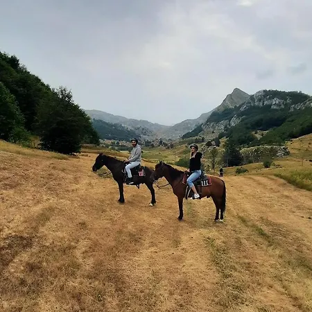 Katun Mokra & Horseback Riding Chalé Podgorica