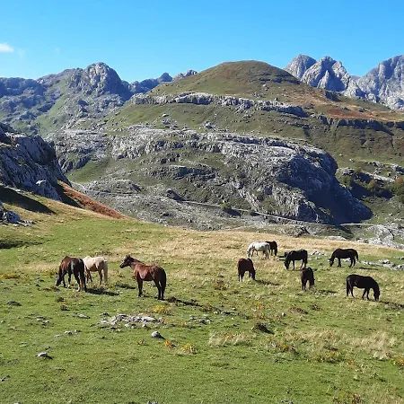 Katun Mokra & Horseback Riding 木屋 *