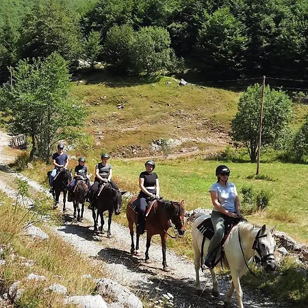 בקתה Katun Mokra & Horseback Riding פודגוריצה