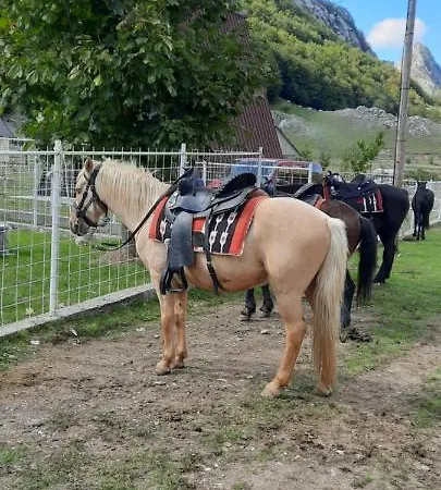 Katun Mokra & Horseback Riding Chalé *