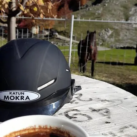 Katun Mokra & Horseback Riding Podgorica