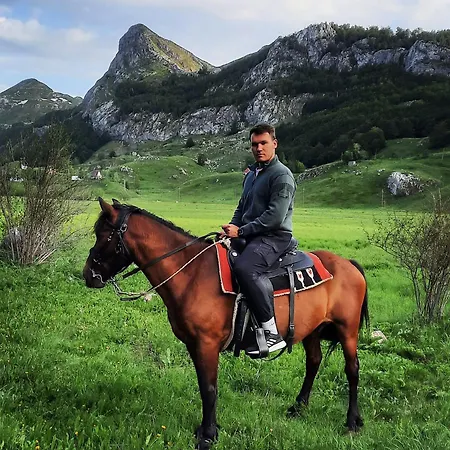 Katun Mokra & Horseback Riding Chalé *