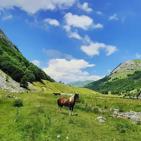 Katun Mokra & Horseback Riding *