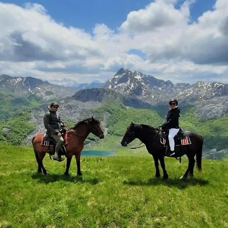 Chalé Katun Mokra & Horseback Riding Podgorica