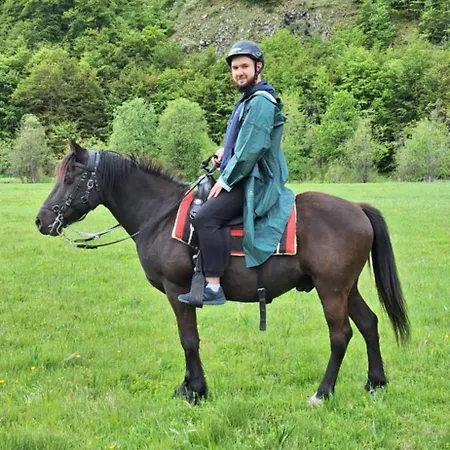 Katun Mokra & Horseback Riding 木屋 *