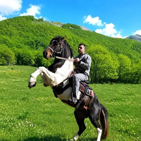 Katun Mokra & Horseback Riding *