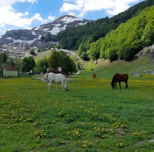 Katun Mokra Accommodation&horseback Riding Alpstuga