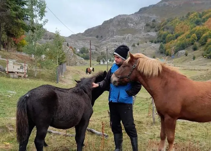 Katun Mokra & Horseback Riding *
