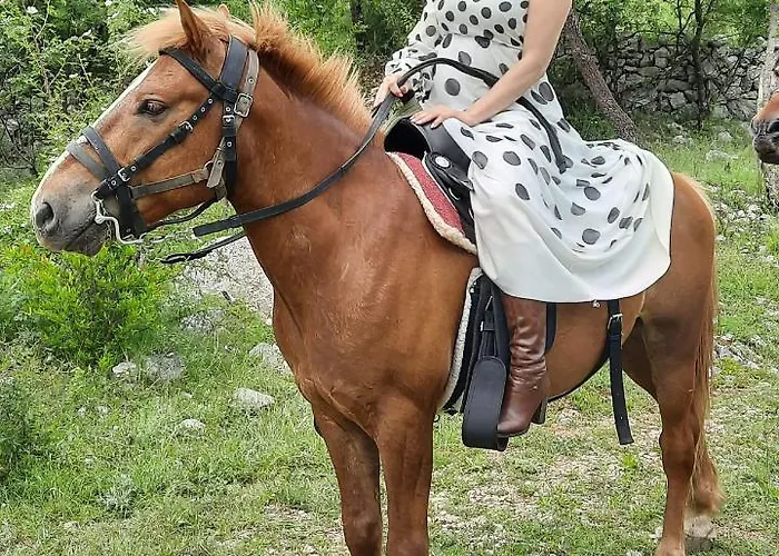 Alpstuga Katun Mokra Accommodation&horseback Riding *