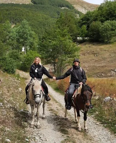 Katun Mokra Accommodation&horseback Riding Alpstuga *
