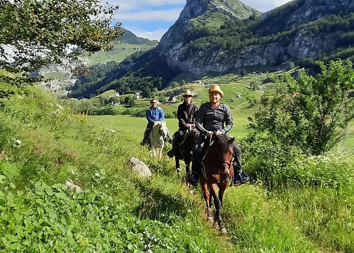 Chalet Katun Mokra & Horseback Riding