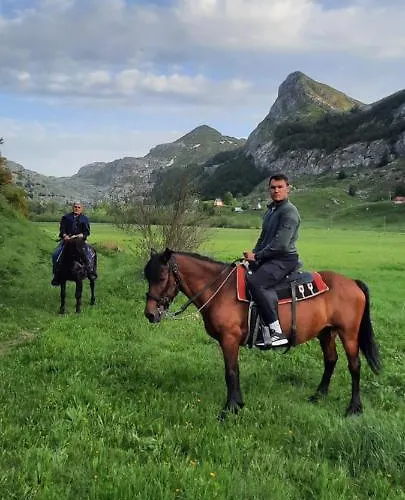 Katun Mokra & Horseback Riding Podgorica