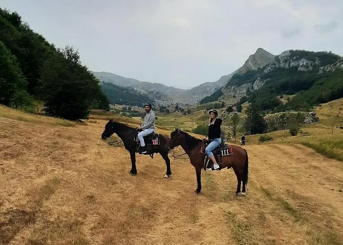 Katun Mokra Accommodation&horseback Riding Alpstuga Podgorica