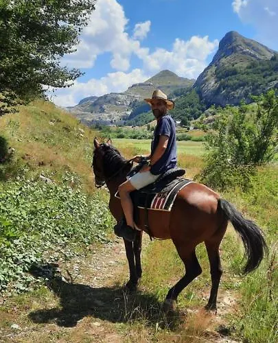 Katun Mokra & Horseback Riding Chalet