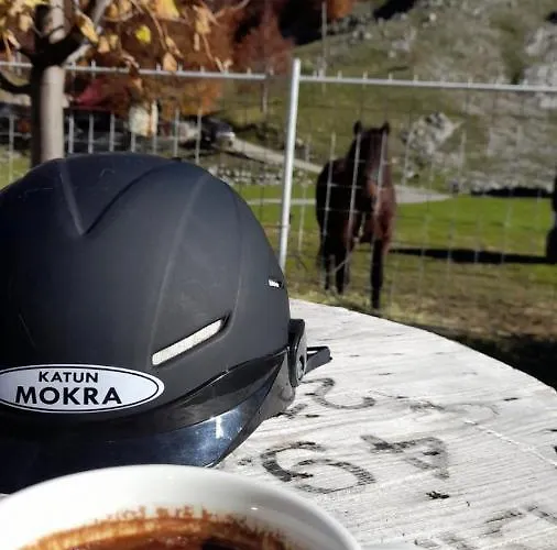 Katun Mokra Accommodation&horseback Riding Podgorica