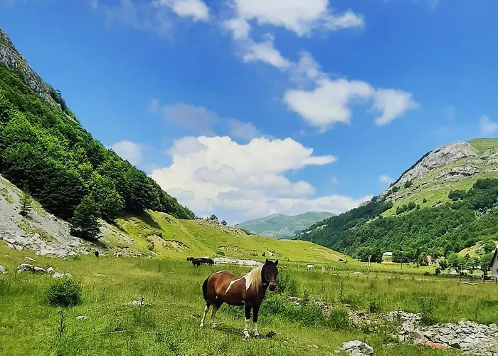 Katun Mokra & Horseback Riding *