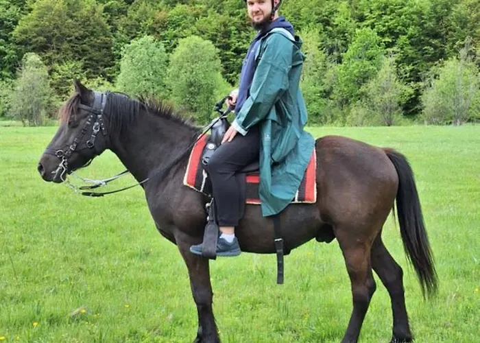 Katun Mokra Accommodation&horseback Riding Alpstuga *