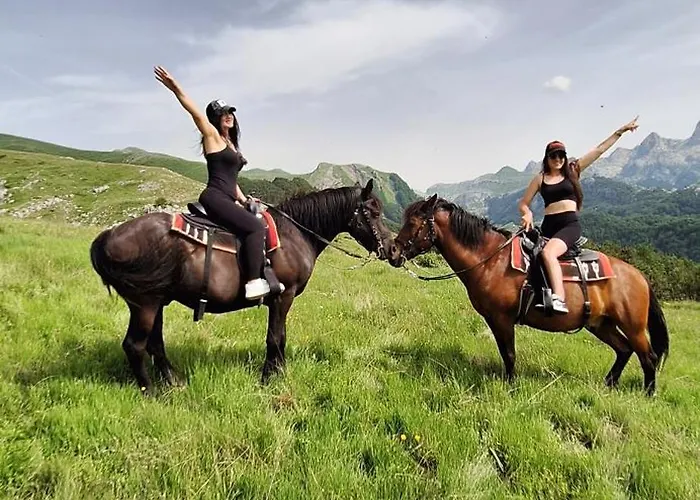 Chalet Katun Mokra & Horseback Riding *